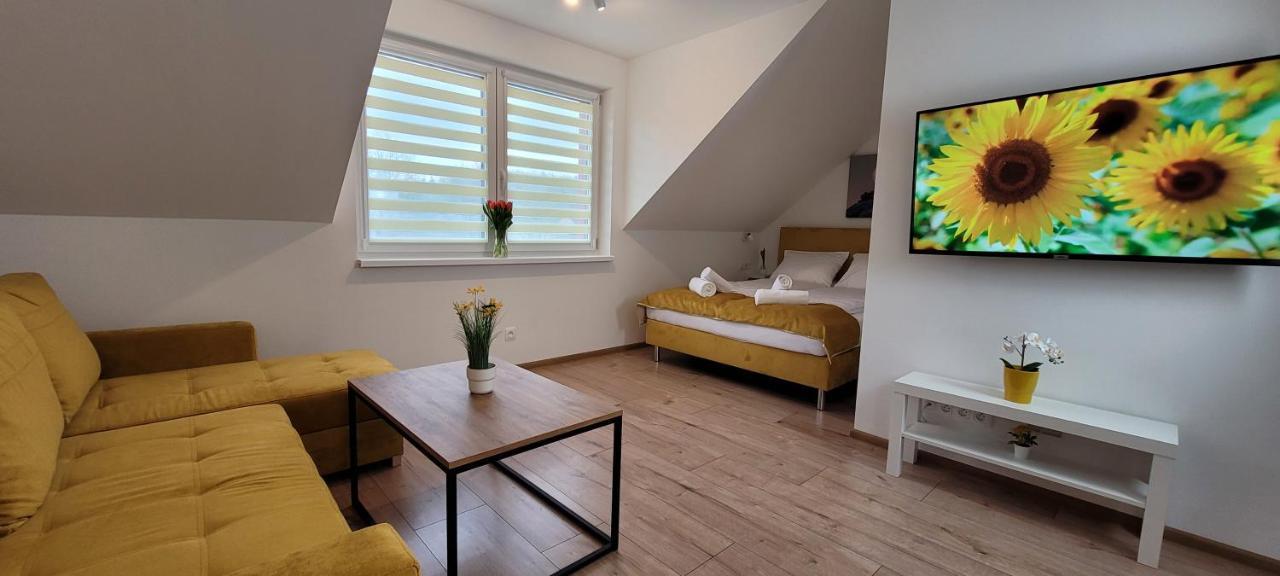Apartment Kolorowe Cieplice - Z Widokiem Na Karkonosze Jelenia Gora